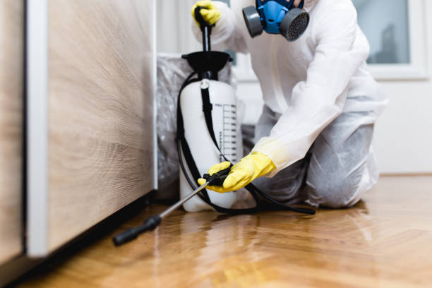 Best Bed Bug Extermination  in Blue Mountain, MS