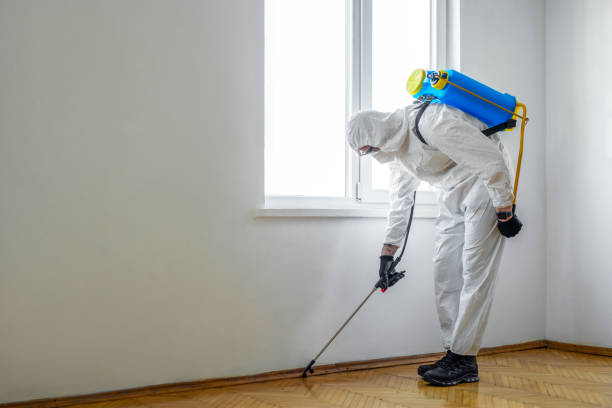 Best Best Pest Control Companies  in Blue Mountain, MS