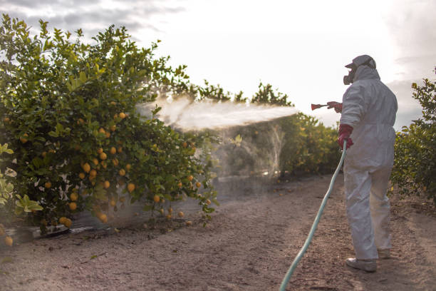 Best Cockroach Control Services  in Blue Mountain, MS