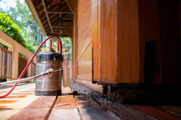 Best Best Pest Control Companies  in Blue Mountain, MS