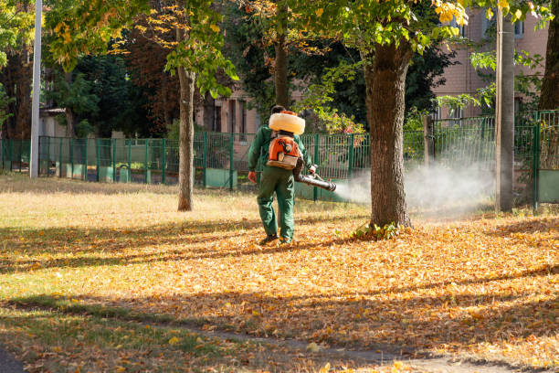 Best Rat Extermination Near Me  in Blue Mountain, MS