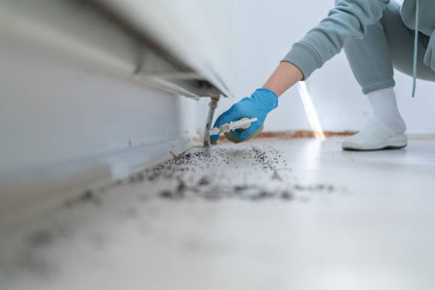 Best Pest Prevention Services  in Blue Mountain, MS