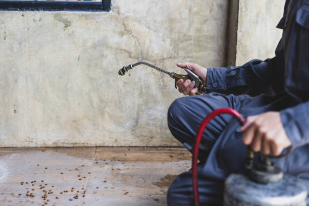 Best Emergency Pest Control  in Blue Mountain, MS